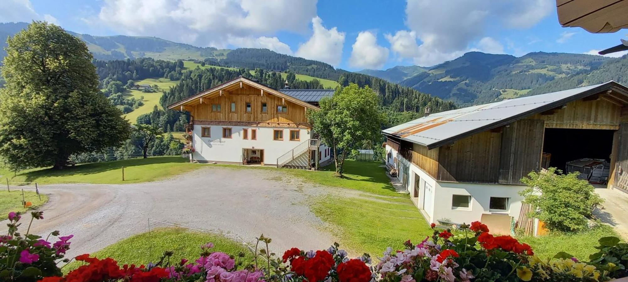 Gumpoldbauer Villa Maria Alm am Steinernen Meer Eksteriør billede