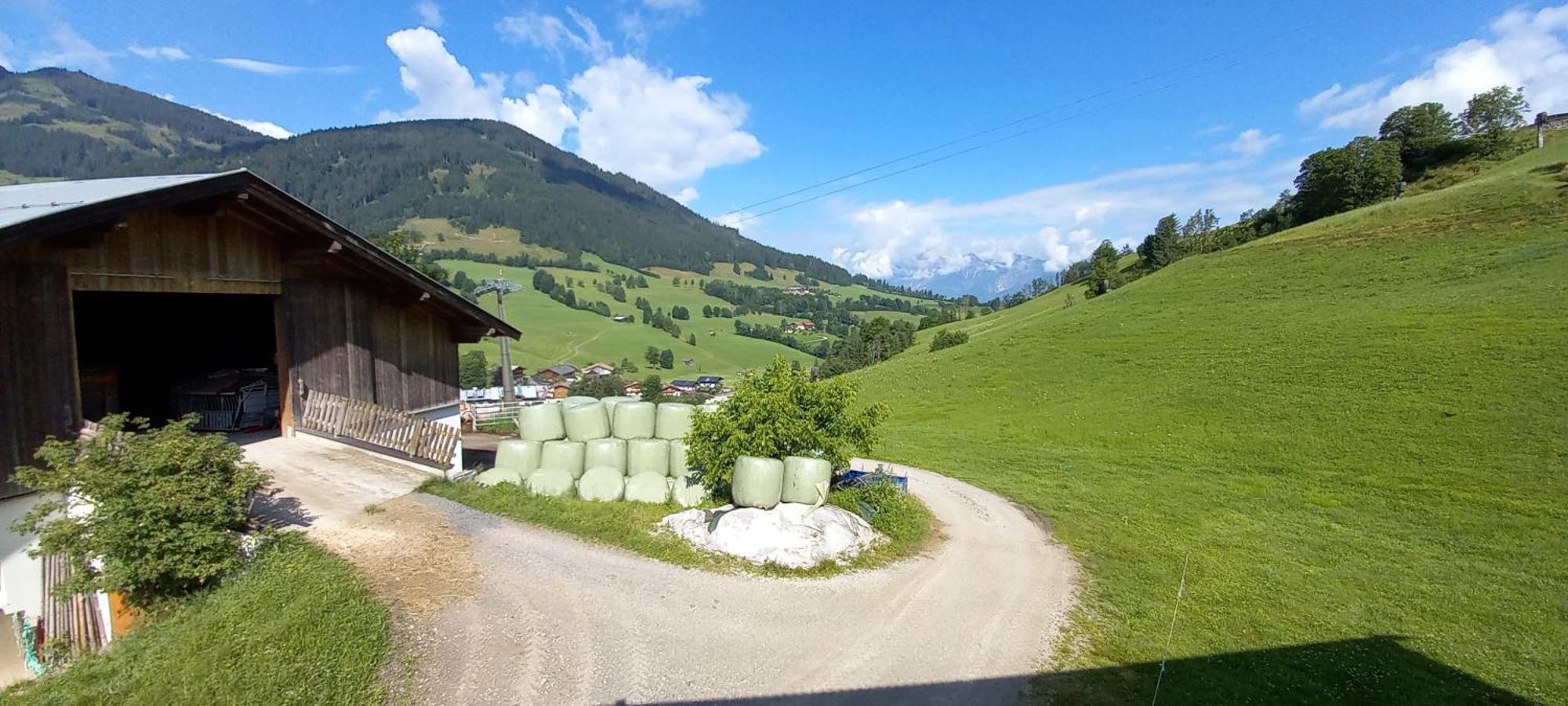 Gumpoldbauer Villa Maria Alm am Steinernen Meer Eksteriør billede