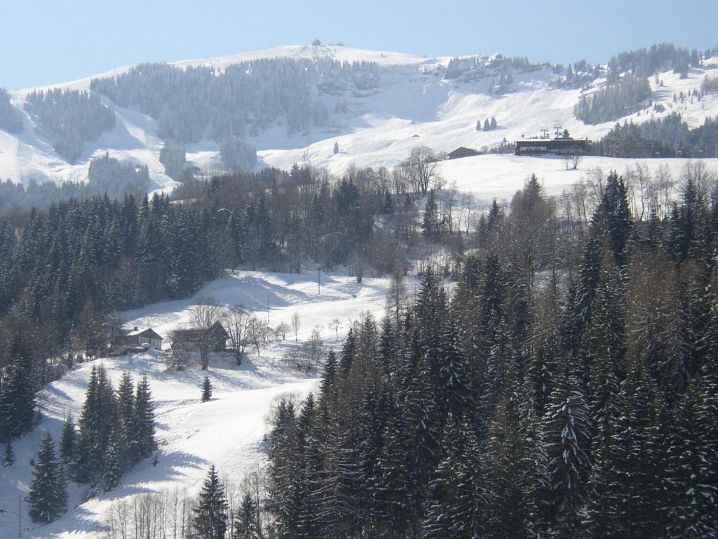 Gumpoldbauer Villa Maria Alm am Steinernen Meer Eksteriør billede